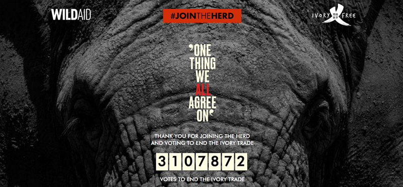 #JoinTheHerd, para detener la matanza de elefantes africanos