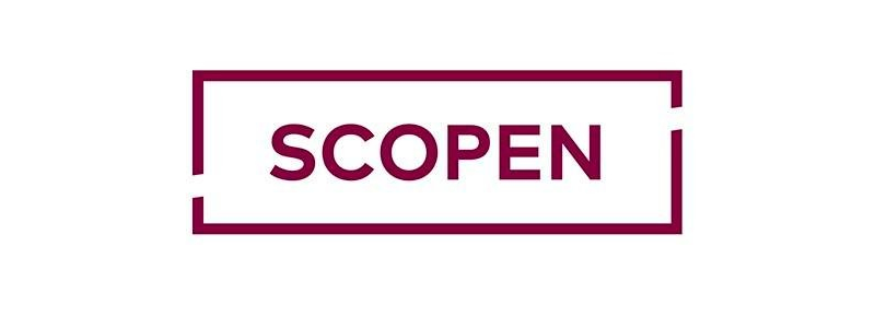 Principales resultados del Agency Scope 2016