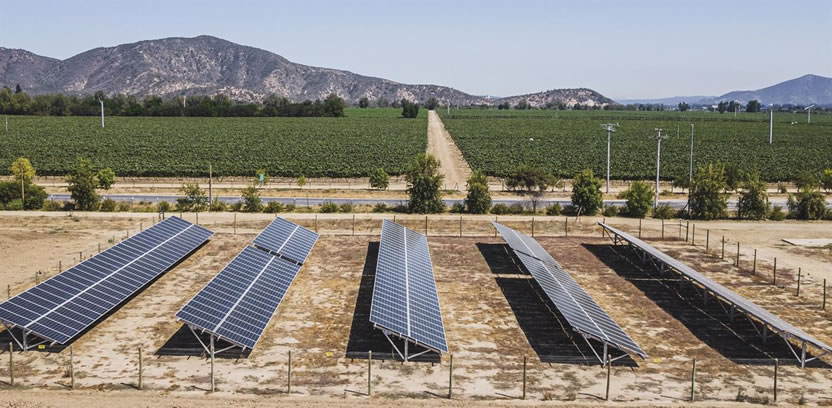 Viña Concha y Toro logra el 100% de su producción con energía renovable