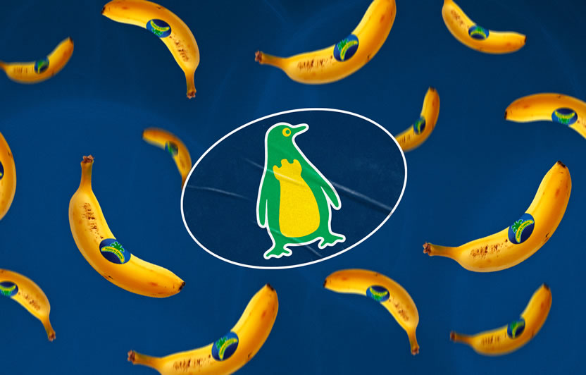 Pingüino Torreblanca, nueva agencia creativa para la marca Plátano de Canarias
