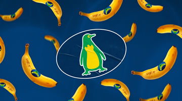 Pingüino Torreblanca, nueva agencia creativa para la marca Plátano de Canarias