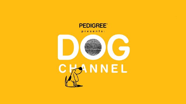 Caso  Dog Channel