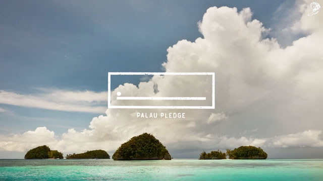 Caso Palau Legacy Project