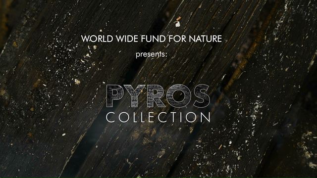 Pyros Collection (El Ojo 2020)