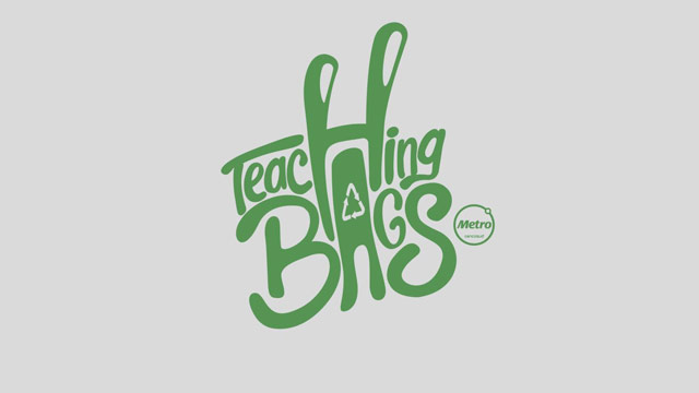Caso - Teaching bags