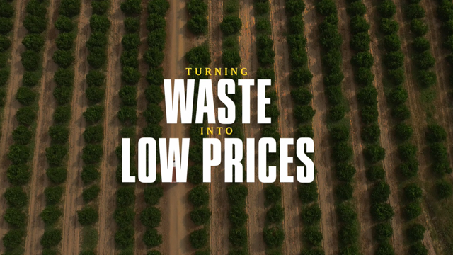 Turning waste into low prices (El Ojo 2023)