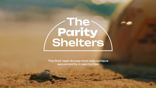 The Parity Shelters