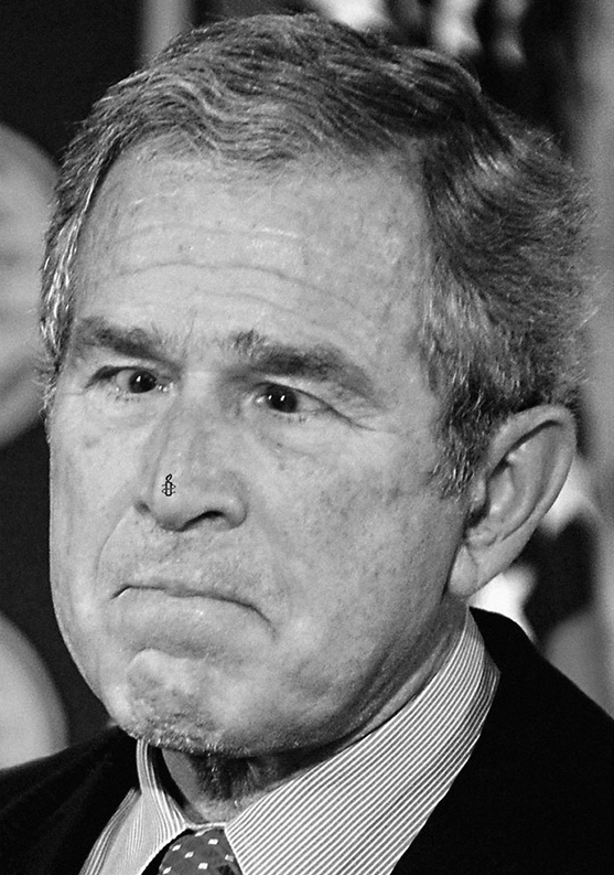 Bush (El Ojo GR - El Ojo 20 Años)