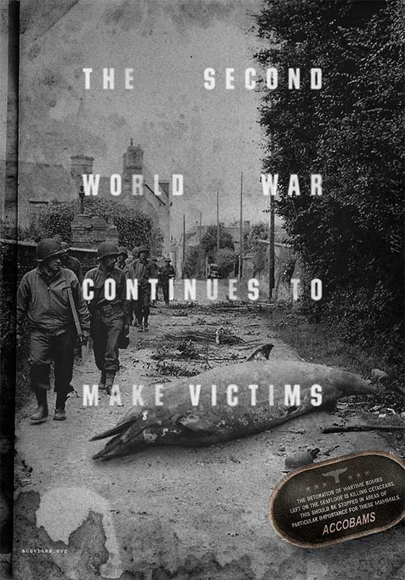 Vítimas de Guerra
