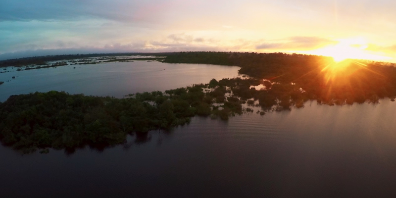 LewLara TBWA y Conservación Internacional le dan voz al Amazonas