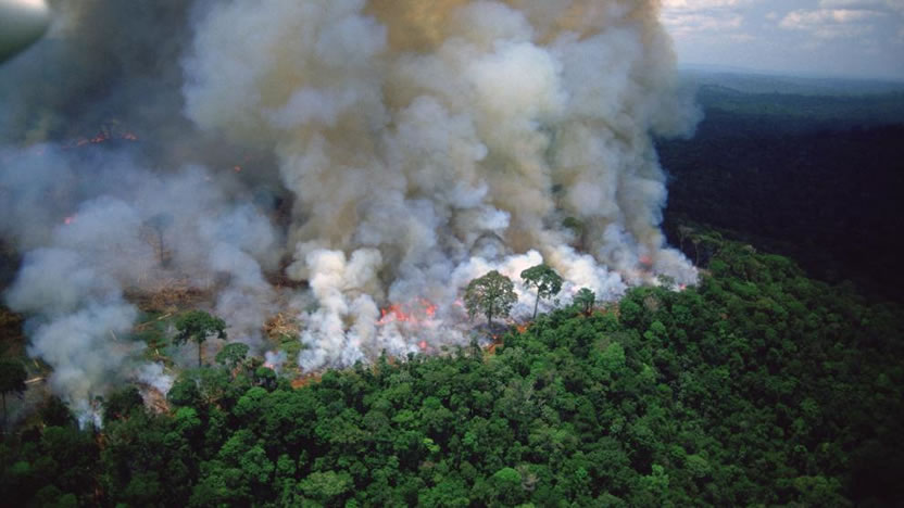 Amazonia arde, la publicidad alerta y Bolsonaro culpa a los activistas