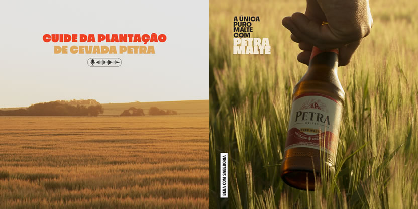BETC HAVAS Brasil promueve la Petra Malte Escuta en sus plantaciones de cebada