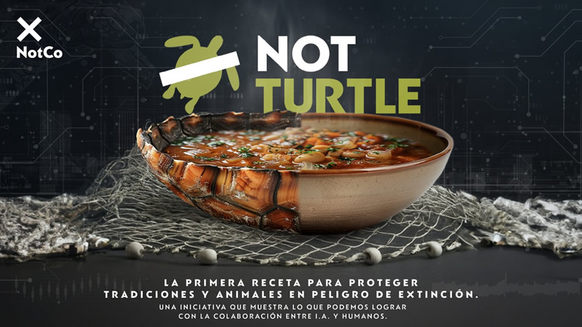 #NotTurtle, nuevo desafío de NotCo salvar una especie en peligro de extinción