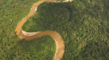 Fernando Meirelles cuenta las historias del Amazonas a través del Google Earth